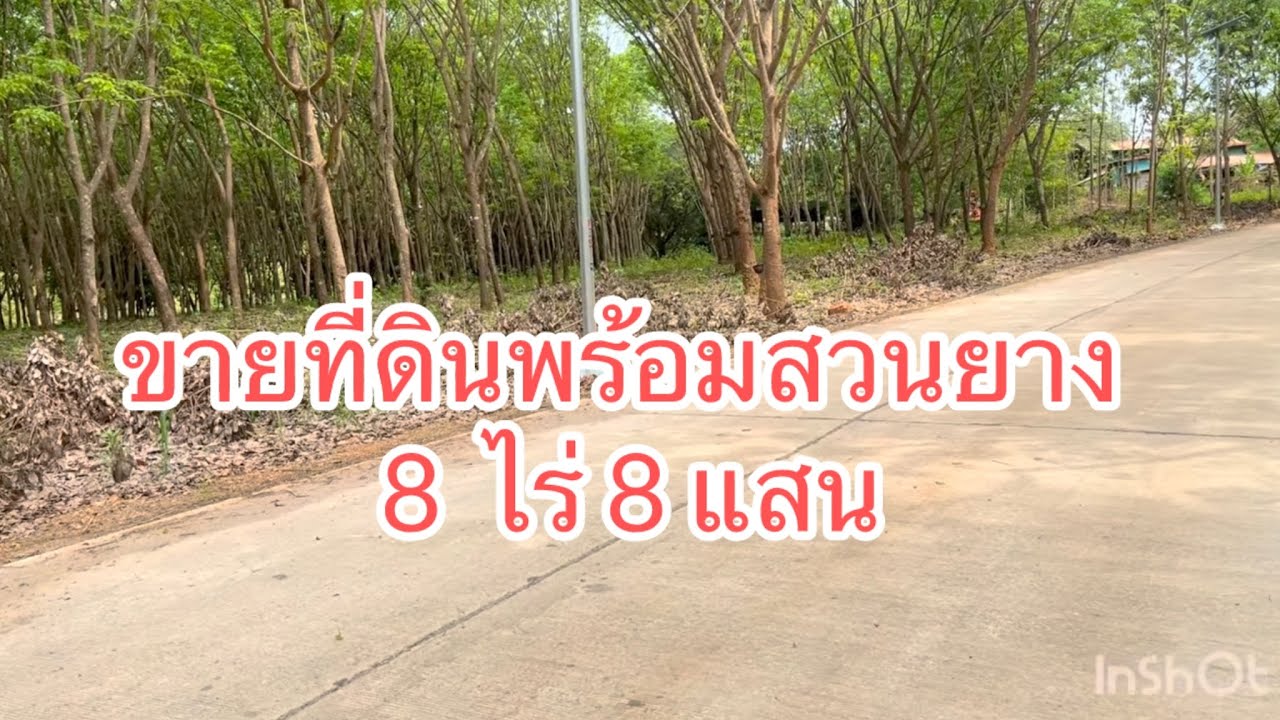 ขายที่ดินพร้อมสวนยาง 8 ไร่ 