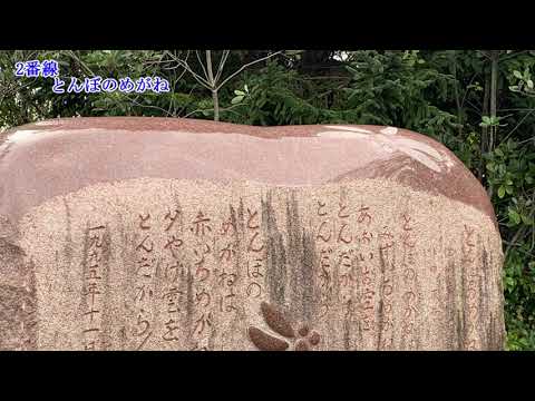 常磐線 広野駅 発車メロディー
