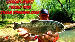 Georgia's Newest Stocked Trout Stream Connesena Creek