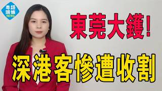 東莞大鑊！房價腰斬過半！昔日6萬天價房現跌至2萬，四年蒸發四百萬，深港炒房客慘遭凌遲式收割，財富神話徹底破滅！業主瘋狂割肉拋售！沒有最慘，只有更慘！#東莞 #東莞樓盤 #大灣區樓盤