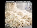 How Papaya Trees Become Fabric _ Sustainable Clothing From Agricultural Waste (Full Process) #Sustai