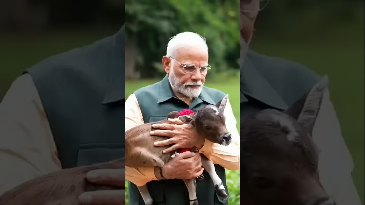 Modi ji Mere pass भैंस hai ग्रामीण 🤕 