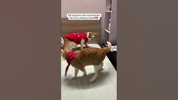 Chúng mình đã sẵn sàng. Bạn thì sao? 🇻🇳❤️ #a80 #dieubinh