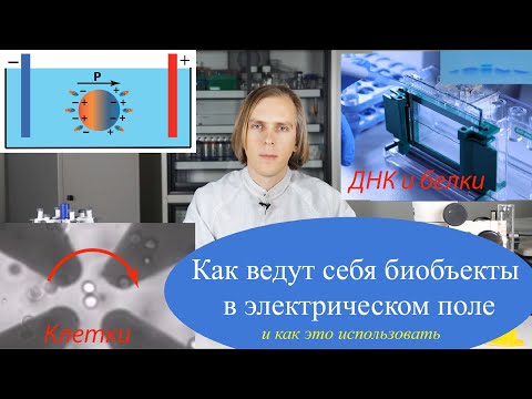 Электрокинетические эффекты в микроустройствах