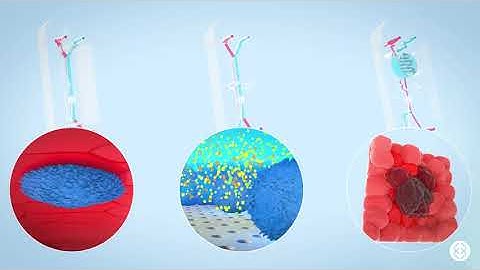 Explore the Emulate Organ-Chip Portfolio