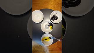 Mind-Blowing Color Theory Magic With Just 4 Colors!