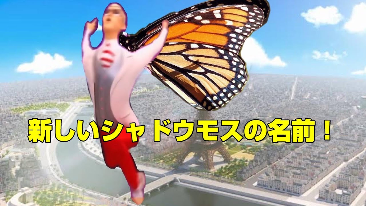 ホークモスの新しい名前 ミラキュラスレディバグスペシャル Youtube