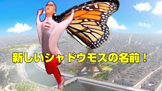 ホークモスの新しい名前！ミラキュラスレディバグスペシャル！