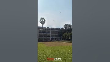 HUSTLE NOW🔥| IIT MOTIVATION VIDEO | IIT STATUS #iit #iitjee #iitdelhi #iitbombay #exam #shorts #iitd