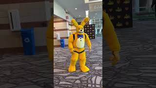 FNaF 2 Yellow Rabbit Cosplay Reveal!