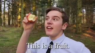 fruition [meaning]