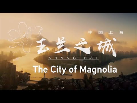 🇨🇳 SHANG HAI: The City of Magnolia 上海：玉兰之城