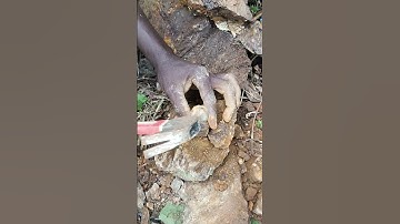 How to package the  gold -coper ore samples with pros #gold #copperore #sampling