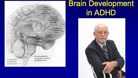 Stimulant Medications Enhance Brain Development (Neuroprotection) in Children with ADHD