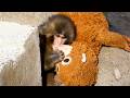 [You’ll Cry] Punch Misses Mom… Gives Her a Long Kiss 😭