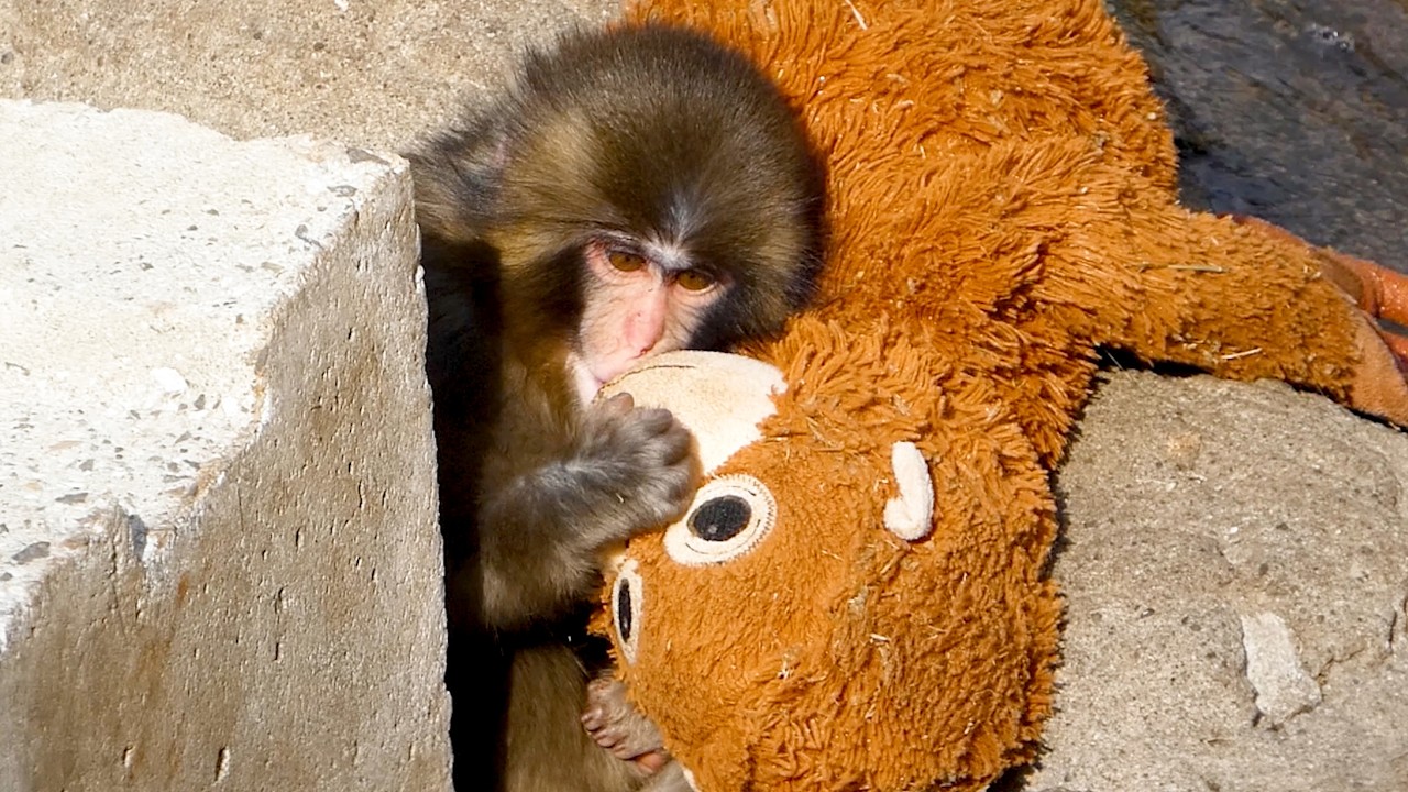 [You’ll Cry] Punch Misses Mom… Gives Her a Long Kiss 😭