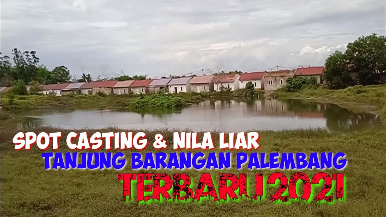 Banyak spot casting dan nila liar di TANJUNG BARANGAN PALEMBANG, info spot mancing