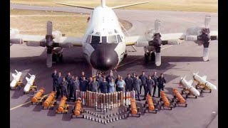 Hickory Aviation Museums P-3 Orion Walkaround