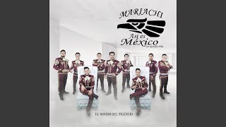 Video thumbnail of "Mariachi Así Es México - Yo Te Extrañaré"