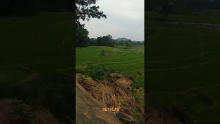 #viral #nature #environment #very #beautiful #palce