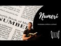 Numeri: introduzione, struttura e contenuti