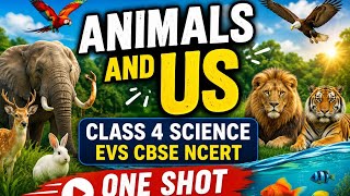 Animals and Us - Class 4 Science EVS CBSE NCERT Full Chapter One Shot