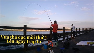 Vừa thả cục mồi thứ 4 dính ngay con tráp to - Hành trình câu cá ở Kishiwada Osaka Nhật Bản | GĐCT