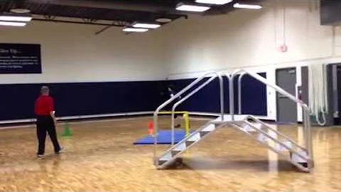 Meredith Runs the ORPAT!