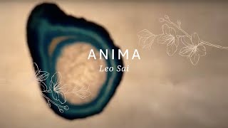 anima/leosai/hackbrett/tombak