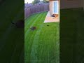 At the Worst Possible Moment... The Dog Barked #cat #funny #dog
