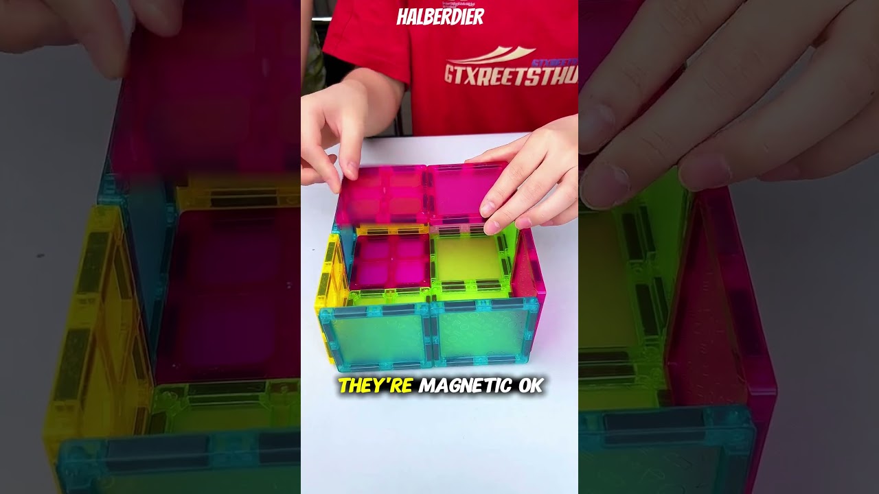 Building Cool Magnet Toys! Guess What I Made 🧲🐶