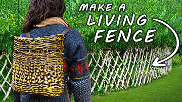 Is This the Most Useful Plant on EARTH?