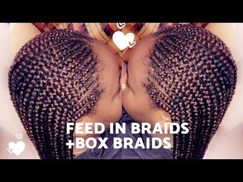 FEED IN BRAIDS WITH BOX BRIADS | DETAILED BEGINNER FRIENDLY - YouTube