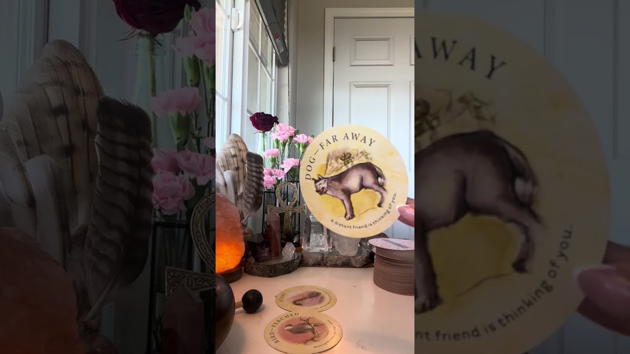 ARIES | A DELIVERY FROM THE UNIVERSE✨A SOULMATE IS VERY PROTECTIVE OF YOU BUT CONFUSED EMOTIONALLY…