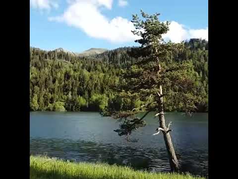 კახისის ტბა