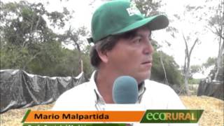 Eco Rural TV - Productores elogian sorgos de Agripac