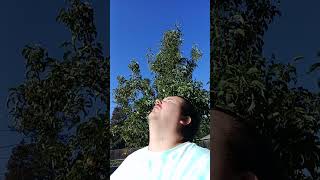 Why does the sun feel so good, when you're sick?