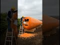 Turning a Giant carrot into a tiny house