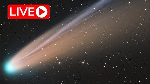 LIVE - Comet LEMMON Going WILD!