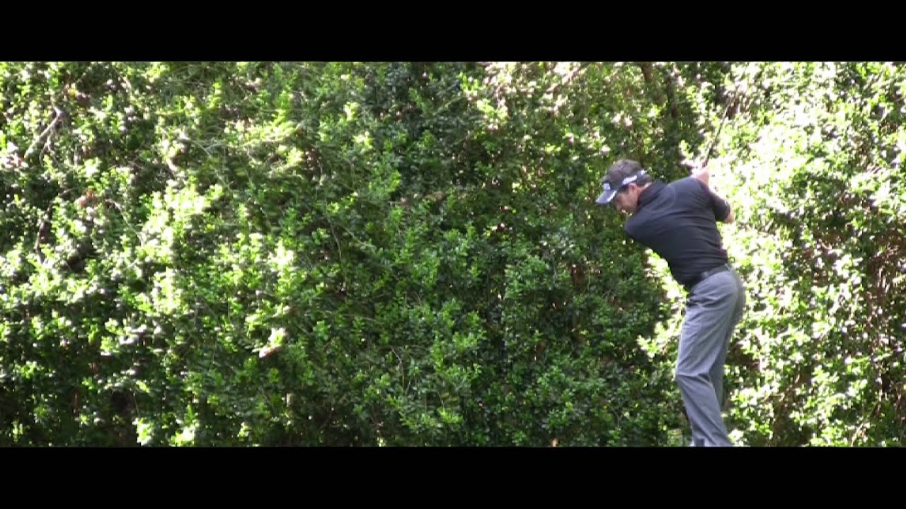 Golf Galaxy - FootJoy SciFlex Golf Glove