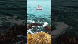 hãy chăm chỉ tích luỹ #tienbac #caunoihay #xh #tamtrangcuocsong #tamtrang #trietlycuocsonghaynhat