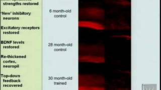 A Revolution in Neuro-Therapeutics