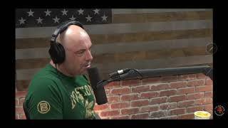 Celebrity Joe Rogan Interrupted by Young Jamie lmao Wealth