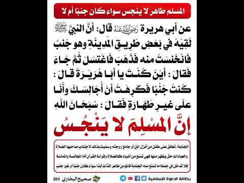 المسلم لا ينجس