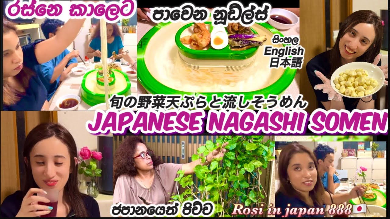 රස්නෙ දාට  නගෂි සෝමෙන්🇯🇵🇱🇰Japanese popular summer dish Nagashi Somen🍜夏はやっぱり流しそうめん🇯🇵Life in Japan🇯🇵🇱🇰