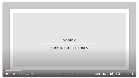 TRIMTAB YOUR FEELINGS