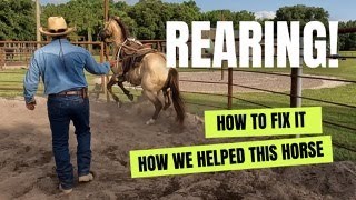 Pear Tree Ranchin 029: Problem Horse Series, We found the Rear button! Helping a Rearing Horse