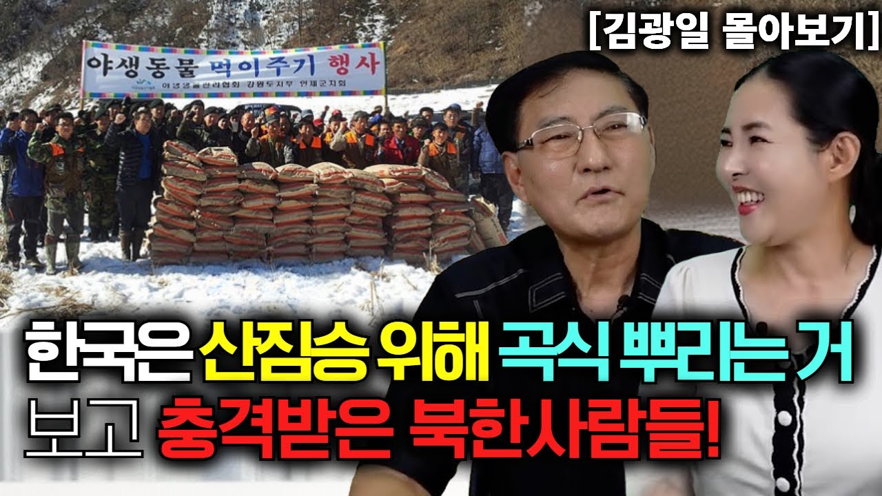 [김광일 몰아보기] 한국에서 산짐승 먹이로 산에 곡식 뿌린거 보고 돌아버린 북한사람들