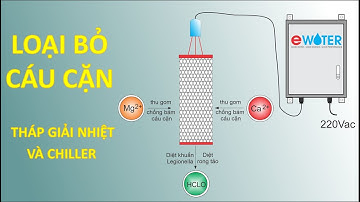 Ewater  -  Loại bảo cáu cặn, vôi bằng Collector