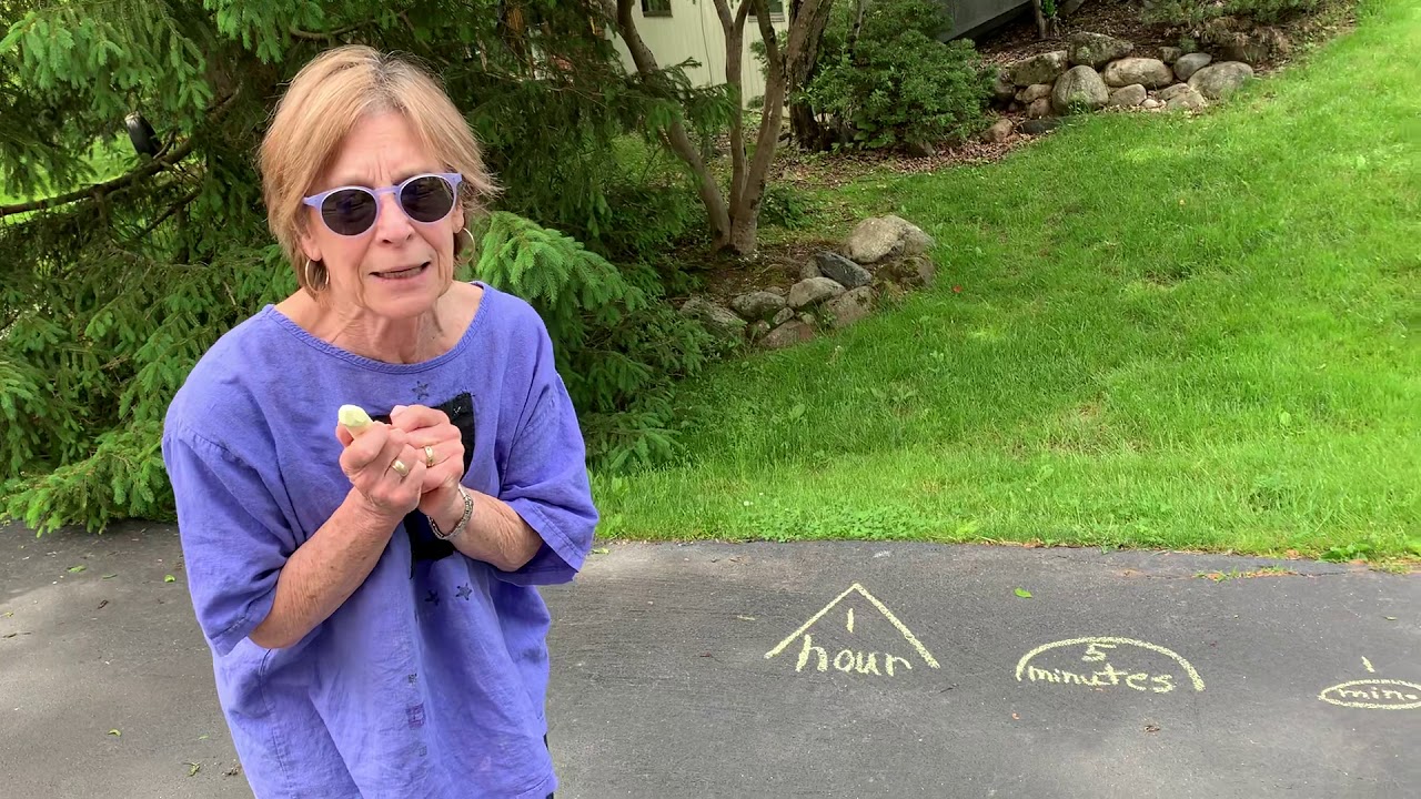 Moreelapsedtimewithmrs.reiss